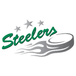 Bietigheim Steelers logo