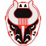 Birmingham Bulls logo