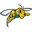 Black Hills State Yellow Jackets