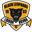 Home team logo