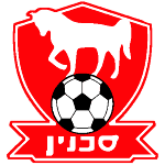 Bnei Sakhnin U19 logo