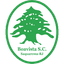 Boavista RJ U20 logo