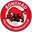Home team logo