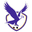 Home team logo