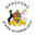 Home team logo