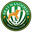 Home team logo