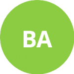 Braynin A. logo