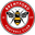 Home team logo