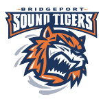 Bridgeport Islanders logo