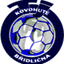 Брідлічна logo