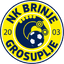 Brinje Grosuplje logo