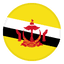 Brunéi logo
