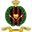 Home team logo