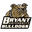 Home team logo