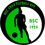 Budaorsi SC logo