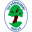 Away team logo