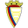 Home team logo