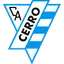 teamLogo