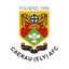 Caerau Ely FC logo