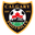 Home team logo