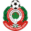 Campbelltown City logo