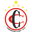 Home team logo