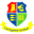 Home team logo