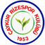 Caykur Rizespor U19 logo