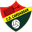 Home team logo