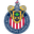 Home team logo