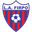 Home team logo