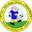 Home team logo