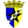 Home team logo