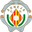 Home team logo