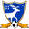 Home team logo