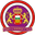 Home team logo