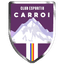 CE Carroi logo