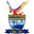 Home team logo