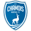 teamLogo