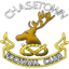 Chasetown logo