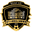 Home team logo
