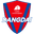 Home team logo