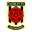 Home team logo