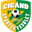Away team logo
