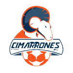 home team logo