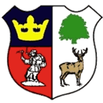 Cinderford Town