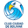 Home team logo