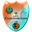 Home team logo