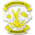 Home team logo