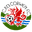 Home team logo